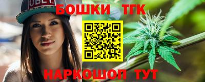 тгк Камышлов