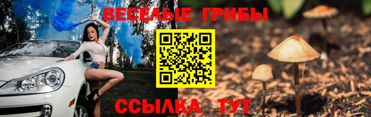 наркота  Вход с VPN  Костомукша  Галлюциногенные грибы мицелий  Псилоцибиновые грибы MAGIC MUSHROOMS 